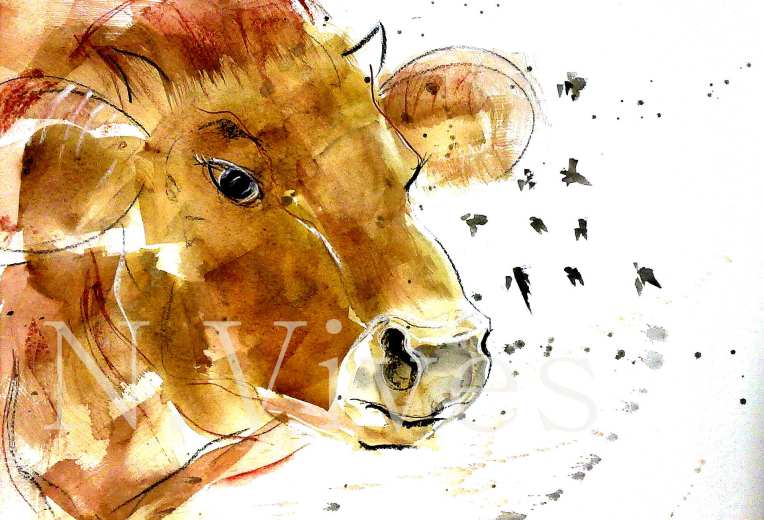 Why flies bother cows by Nuria Vives